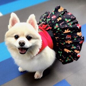 Meet your Posher, Karen